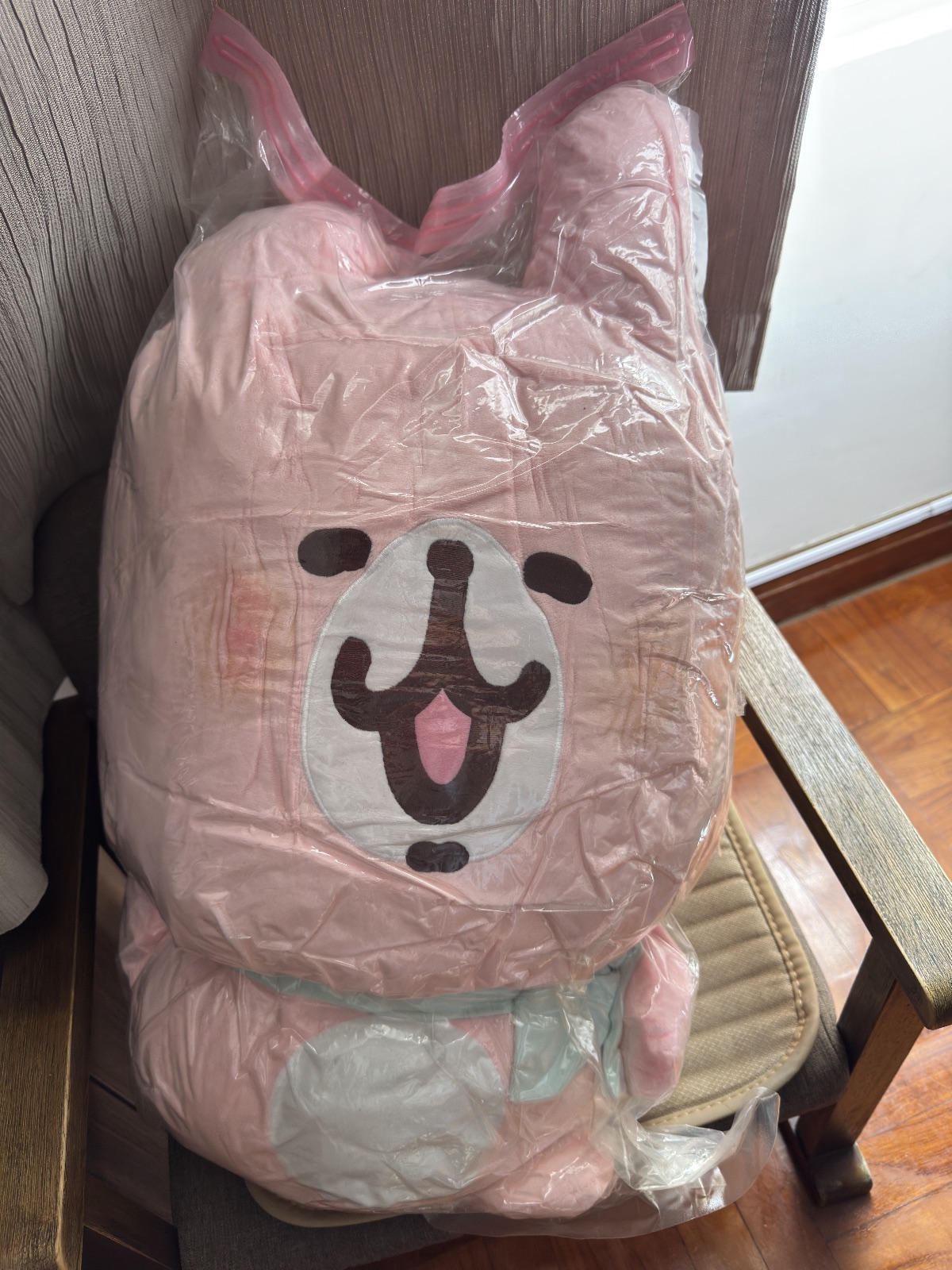 全新大公仔