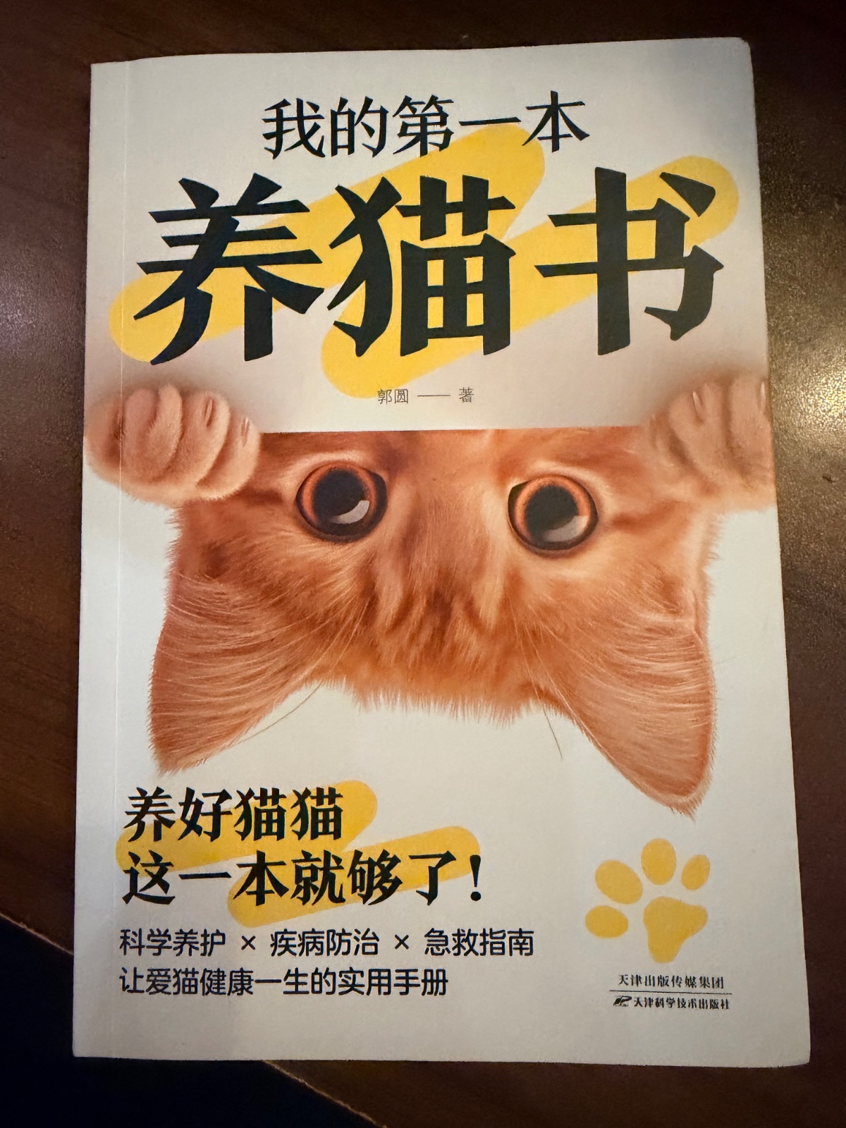 貓貓書本（簡體字）